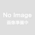 棒ほうじ茶(ぼうほうじちゃ)　100g袋入<静岡産　焙茶>